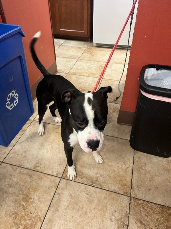 image1 2026 01 23T175441.432