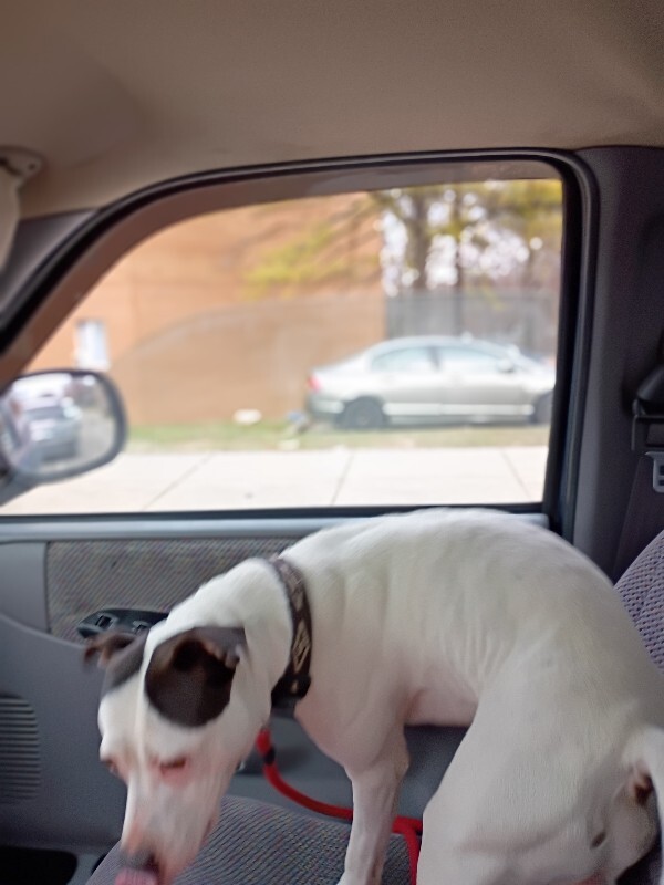 IMG 20251222 132545192 PORTRAIT