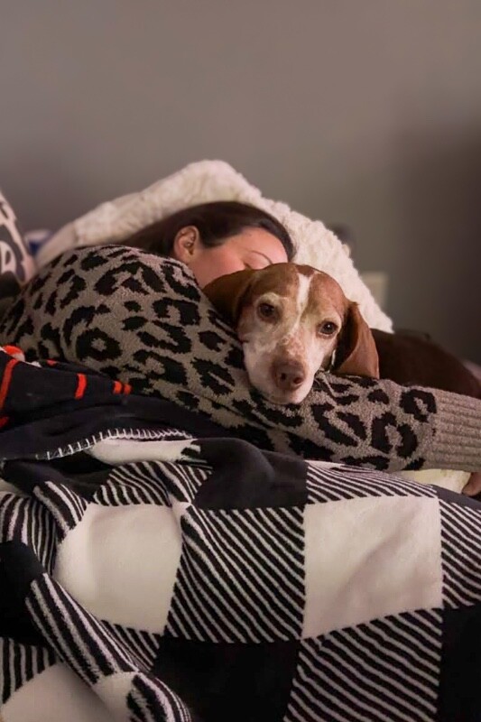 View Lilianna the Dog Photo #4