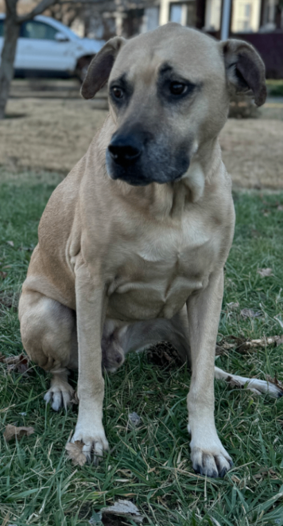 Screenshot 2026 01 25 092617