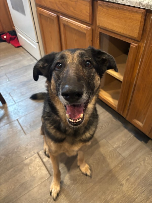 e6e757645e6d9e9d5676344ea7373b1422510803 1