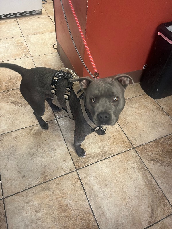 image4 2026 01 27T151550.017