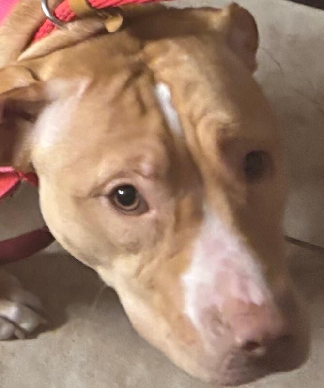 Learn More About Supa Girl IMG 1173