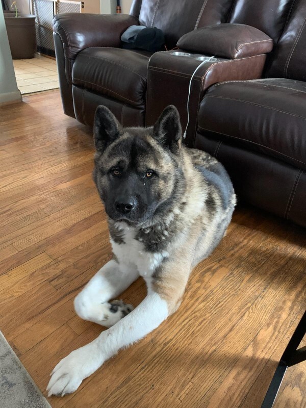 693603901 70486315544828