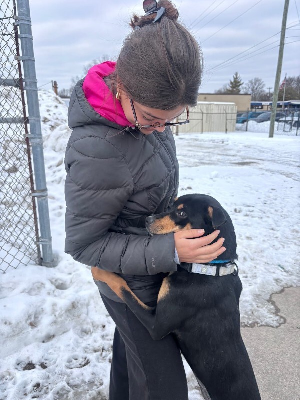 View Zamboni the Dog Photo #2