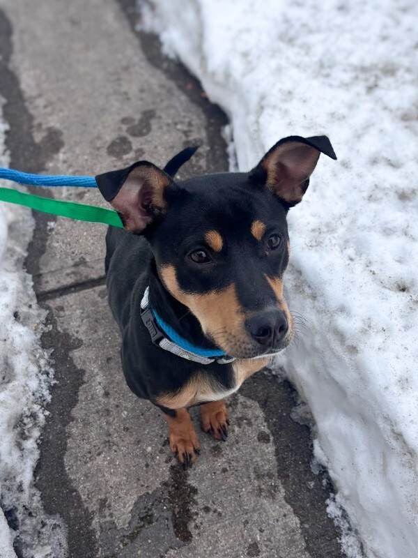 20260209 114042 D9F29D (1)