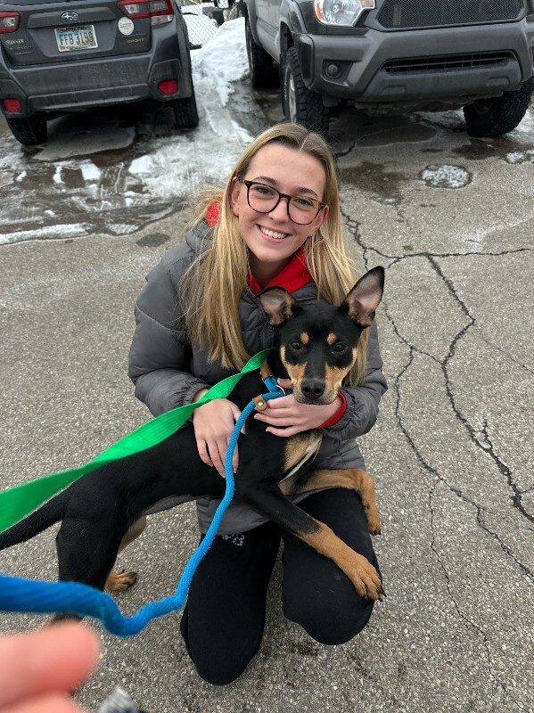 View Zamboni the Dog Photo #3