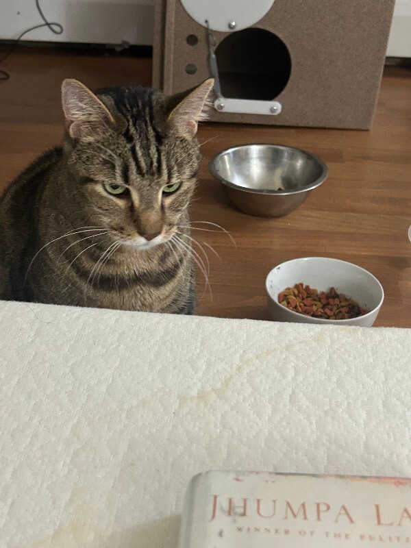 IMG 7843 Suranjana Dam