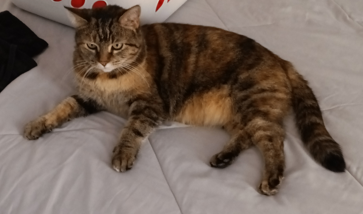 Screenshot 2026 01 29 090514