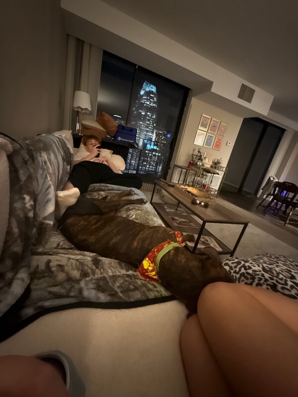 View Python the Dog Photo #10