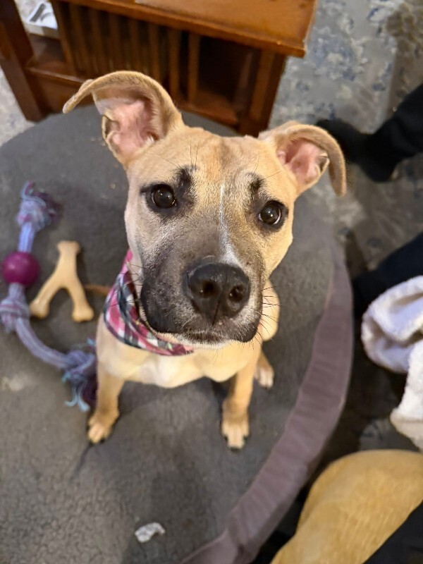 633403906 10163855262472094 2182649169166778651 n