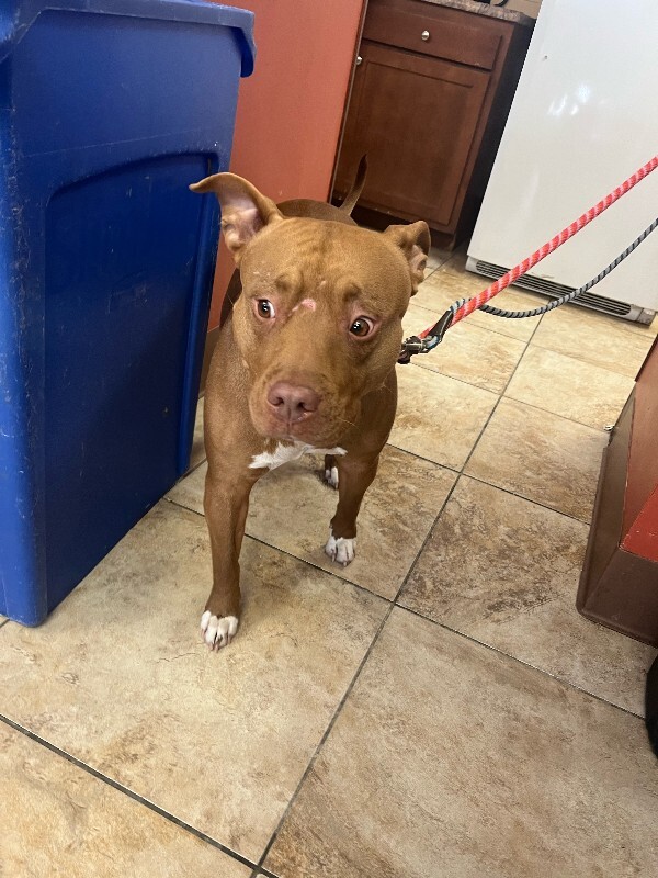 image0 2026 01 30T132246.098