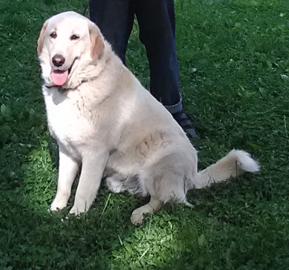 Screenshot 2026 01 30 151858