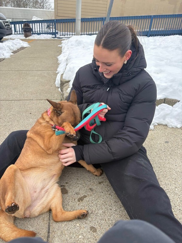 View Rella the Dog Photo #6