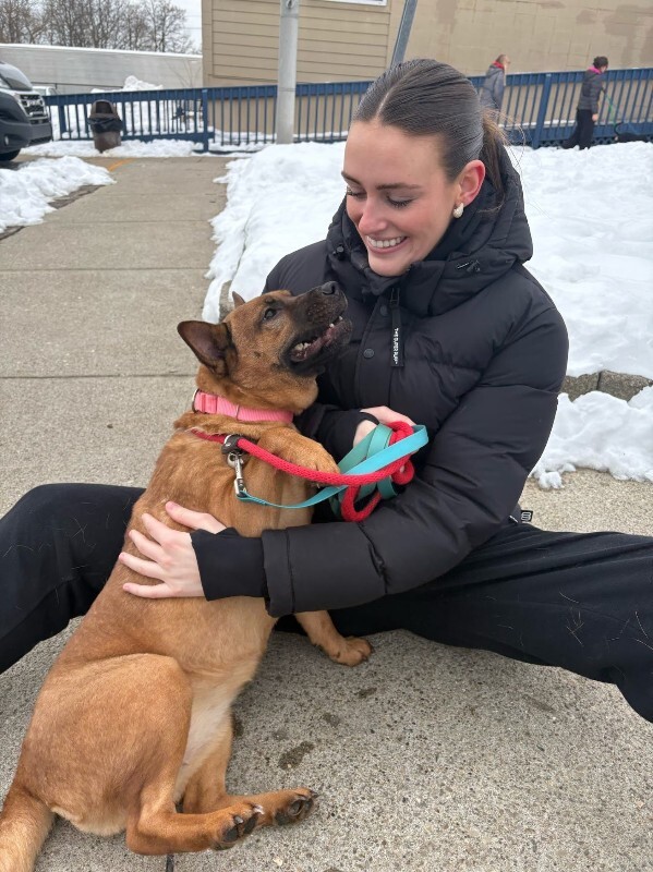 View Rella the Dog Photo #3