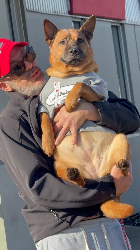 View Rella the Dog Photo #7