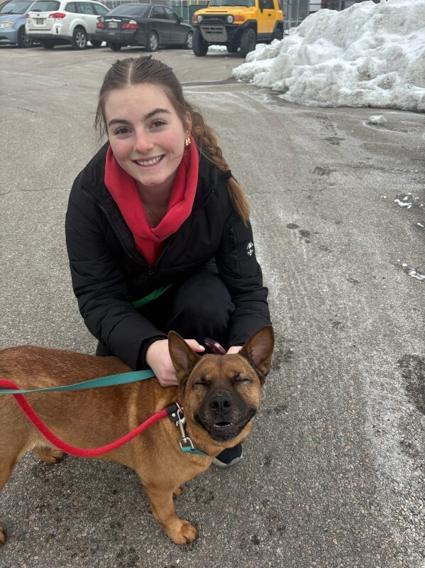 View Rella the Dog Photo #5