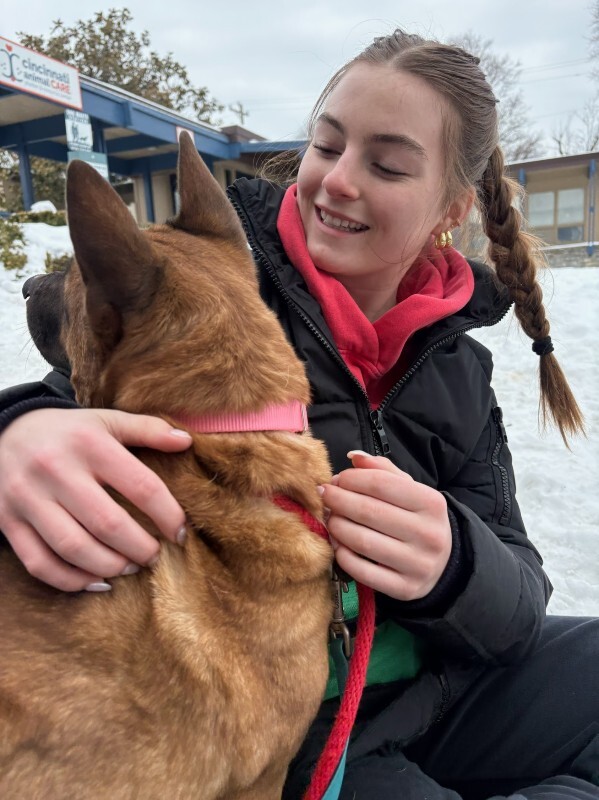 View Rella the Dog Photo #4