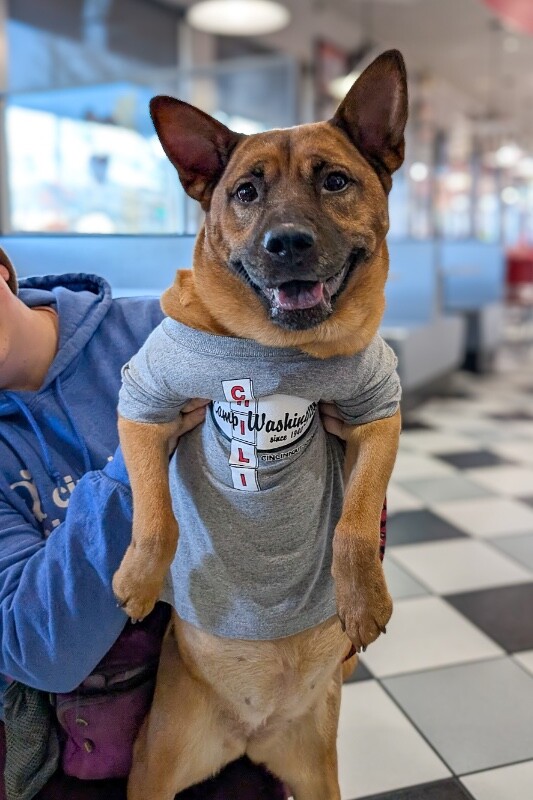 View Rella the Dog Photo #3