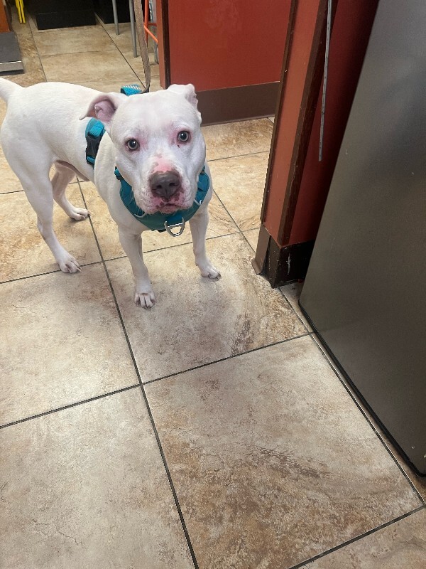 image0 2026 02 01T150310.337