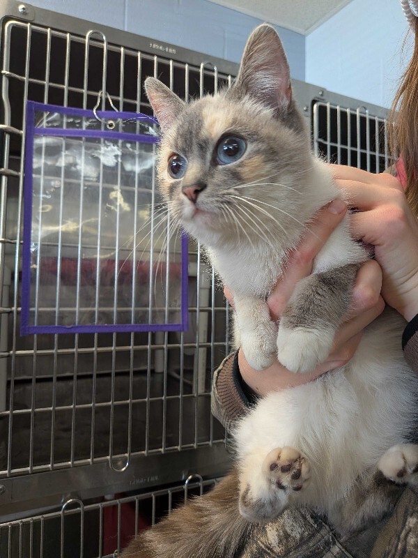 PXL 20260201 202506077