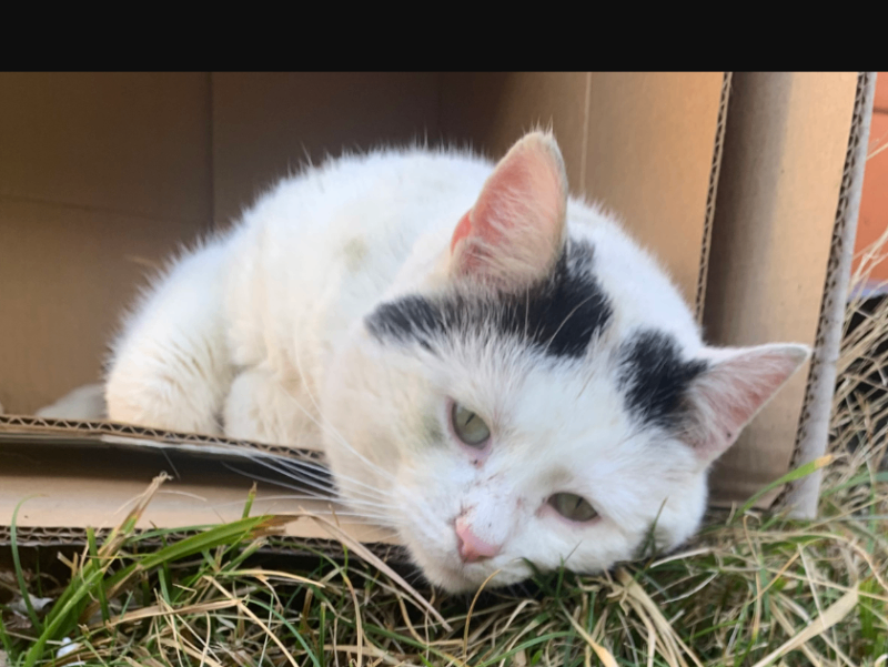 Screenshot 2026 02 02 091551