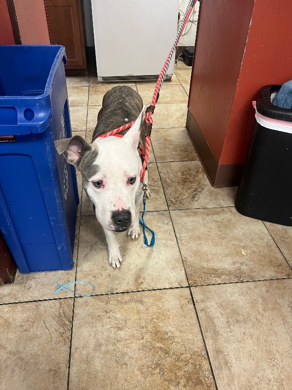 image3 2026 02 02T135838.065