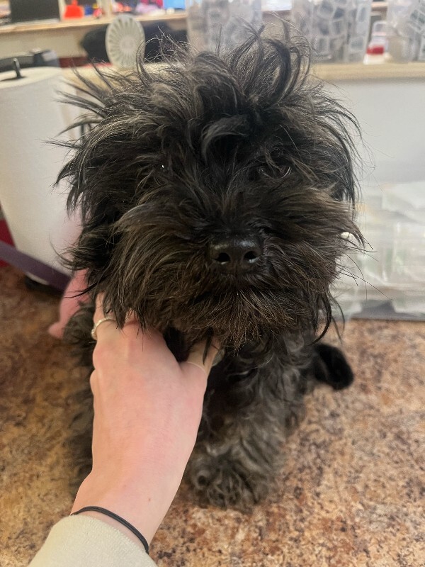 image0 2026 02 02T154738.306