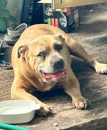 Screenshot 2026 02 02 174336