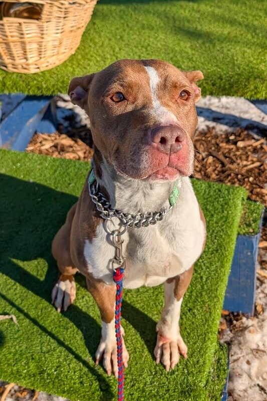 PXL 20260210 143909045