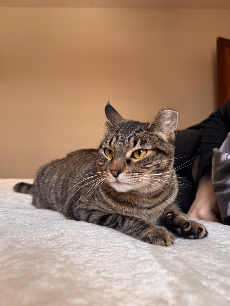 70EF42CA CD85 4413 AC7F 9680348C0CF5 Jazlyn Guerra