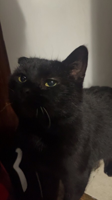 628115438 26231376449802964 1418030976918602905 n