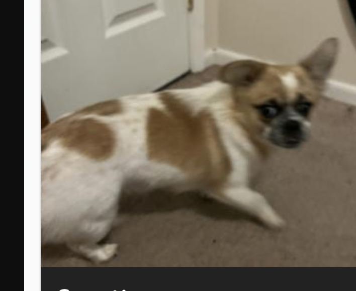 Screenshot 2026 02 05 091307