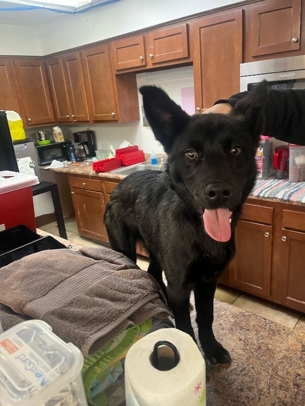 image3 2026 02 05T133927.701