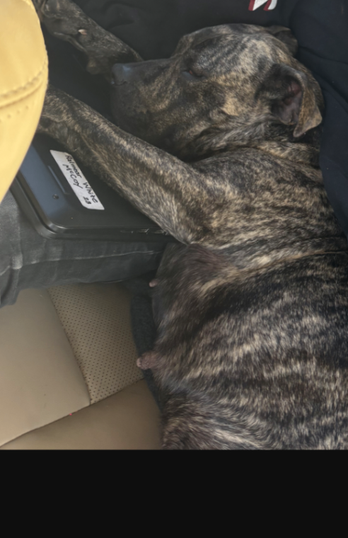 Screenshot 2026 02 05 145239