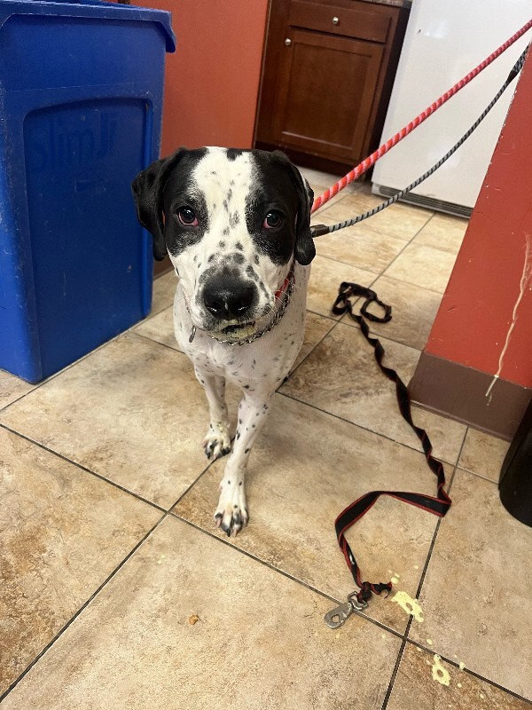 image0 2026 02 06T143356.729