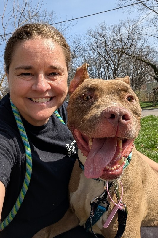 View Kash the Dog Photo #4