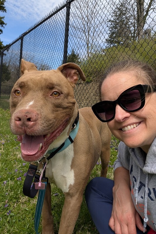 View Kash the Dog Photo #2