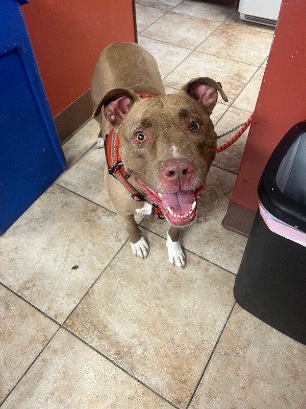 image3 2026 02 06T160443.738