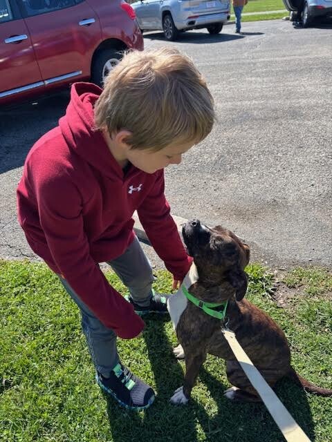 View Reeza the Dog Photo #3