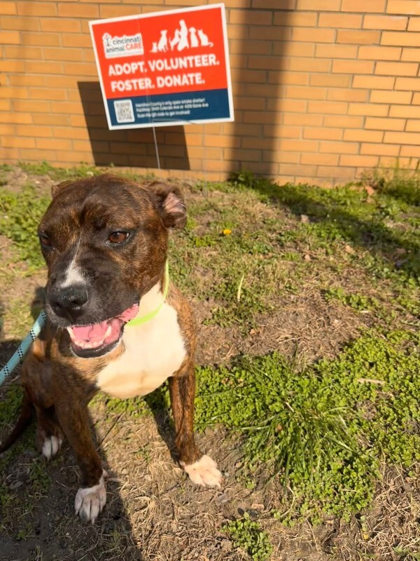 View Reeza the Dog Photo #7