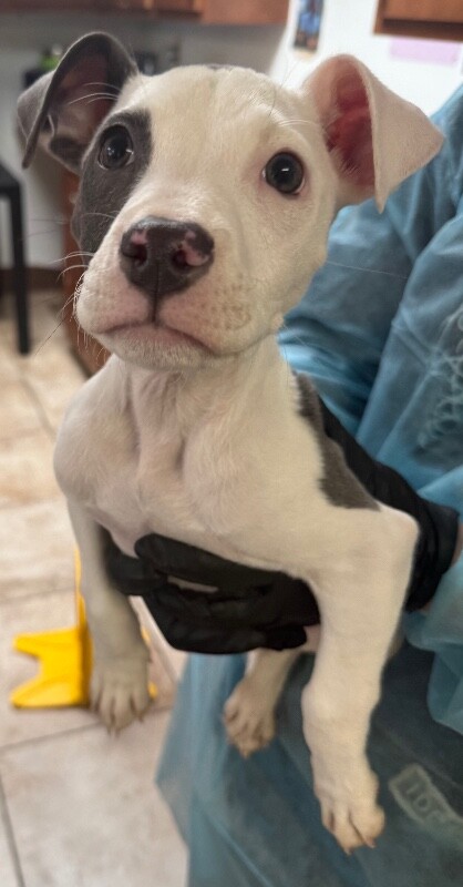 Learn More About Marceline IMG 6072