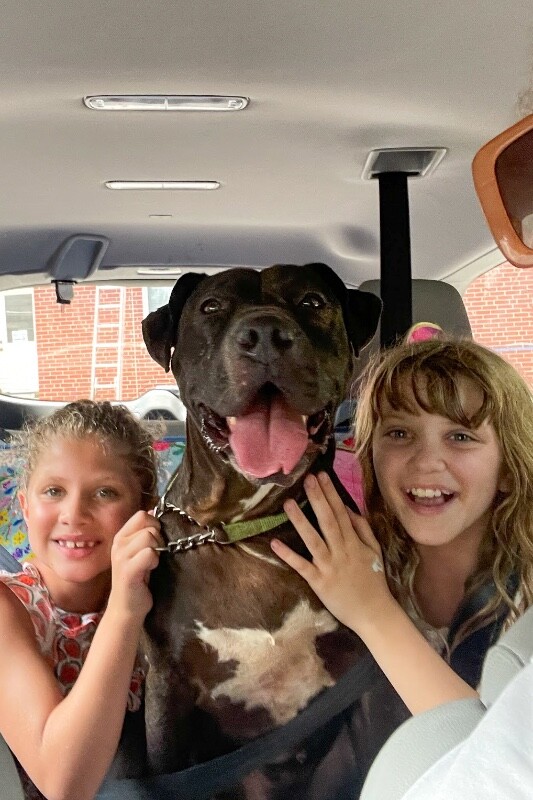 View Aiden the Dog Photo #2