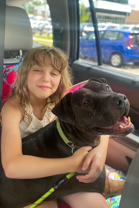 View Aiden the Dog Photo #7