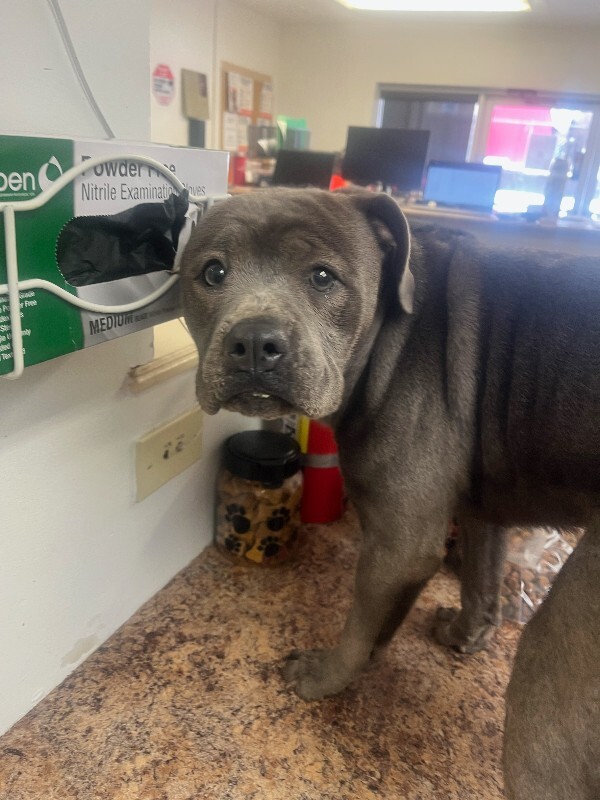 image2 2026 02 08T134404.750