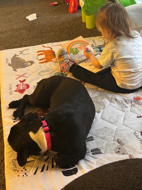 View Seattle the Dog Photo #2