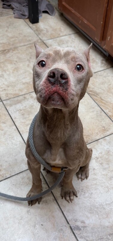 Learn More About Goffer IMG 0411