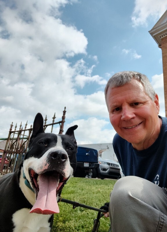 View Falcon the Dog Photo #3