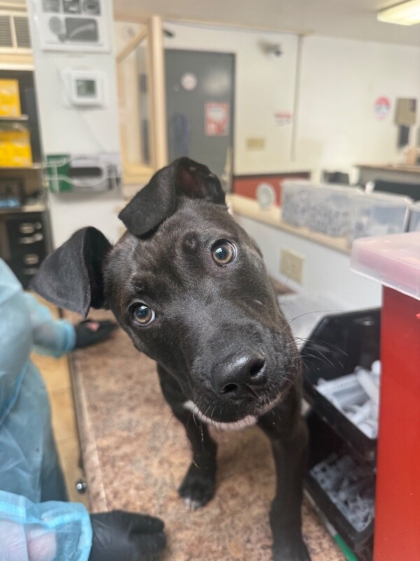 Learn More About Eddie IMG 6137