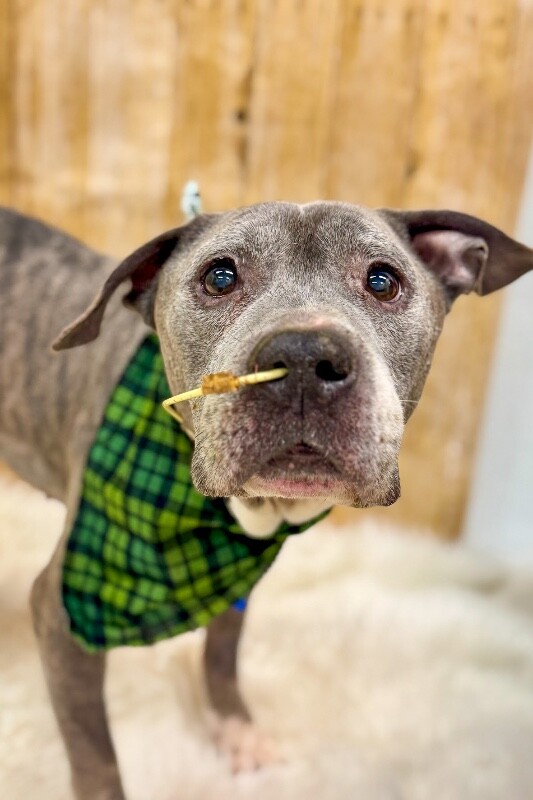 Learn More About Brucy IMG 1547